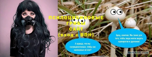 прущий лед Нея