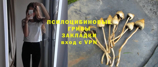 прущий лед Нея